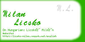 milan licsko business card